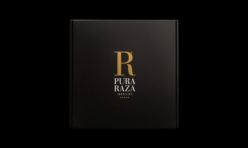 BRANDING+DIGITAL
